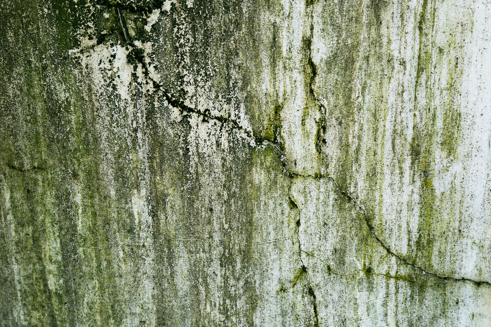 Como evitar mofo causado por vazamentos ocultos